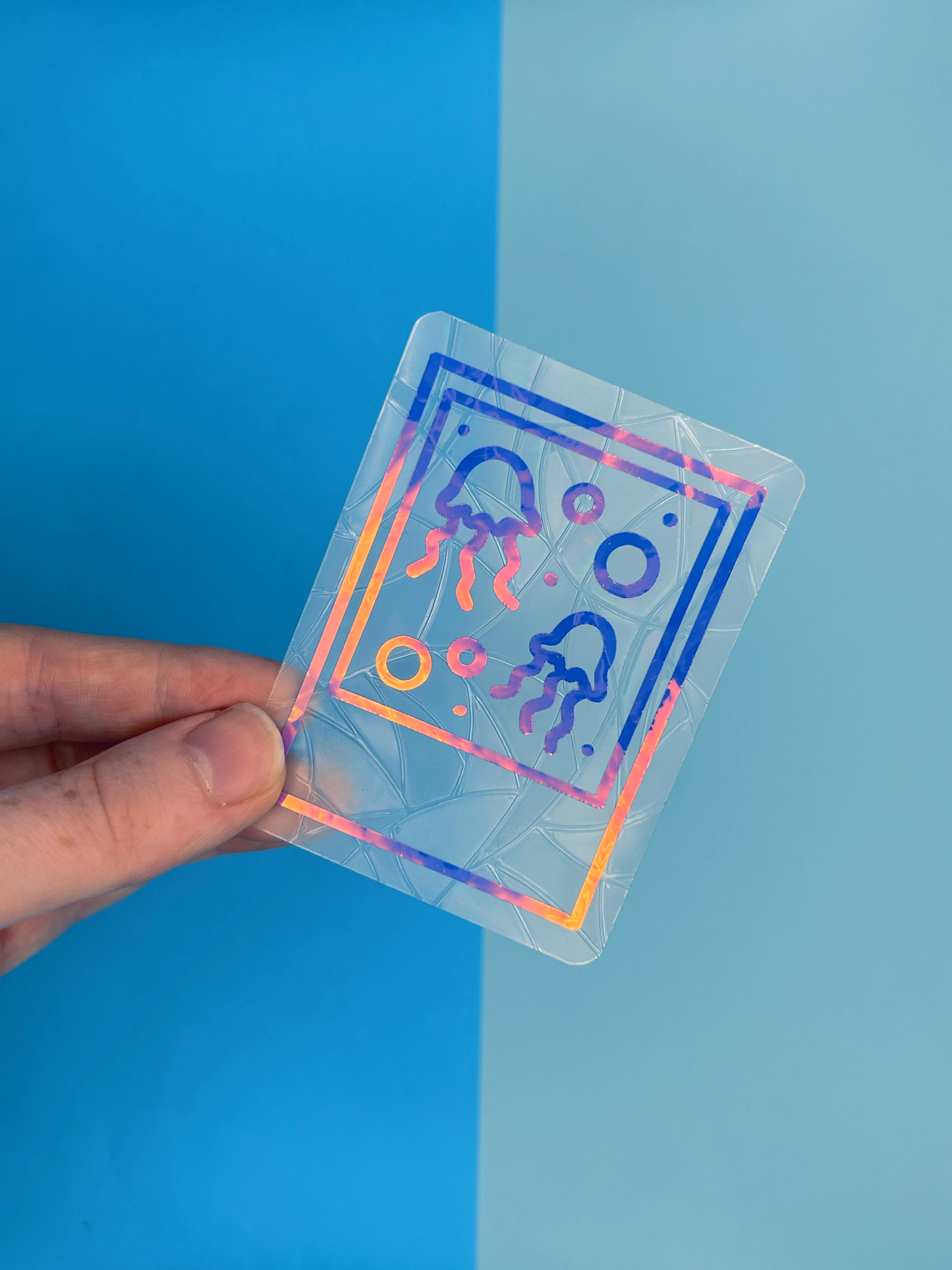 Mini Sealife Photo Suncatcher Set