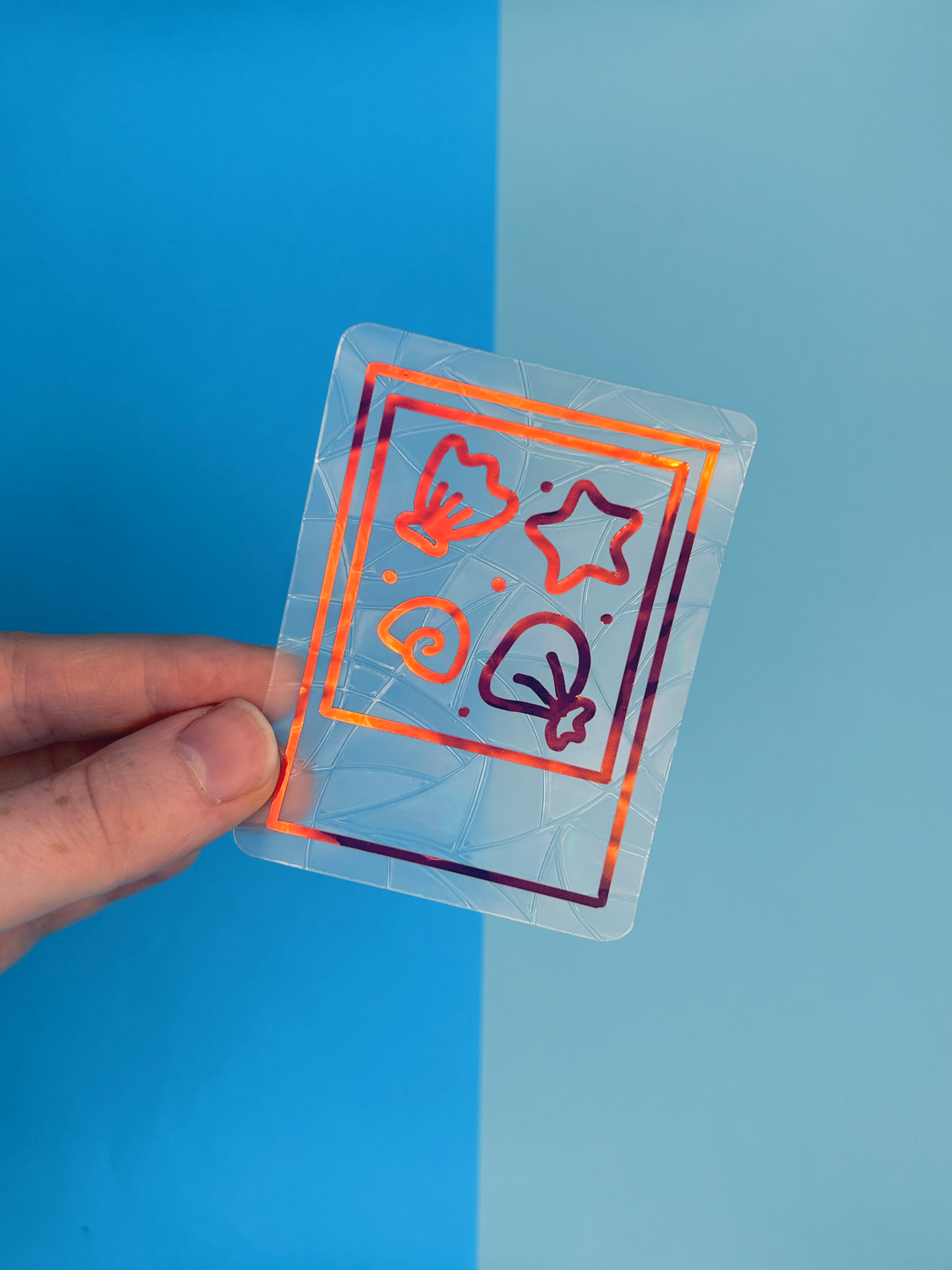 Mini Sealife Photo Suncatcher Set