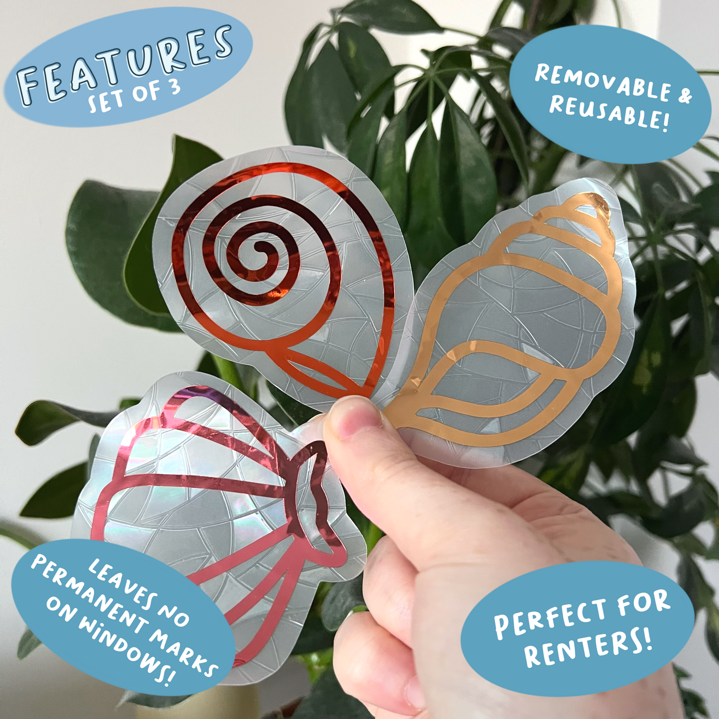 Mini Sea Shell Suncatcher Set